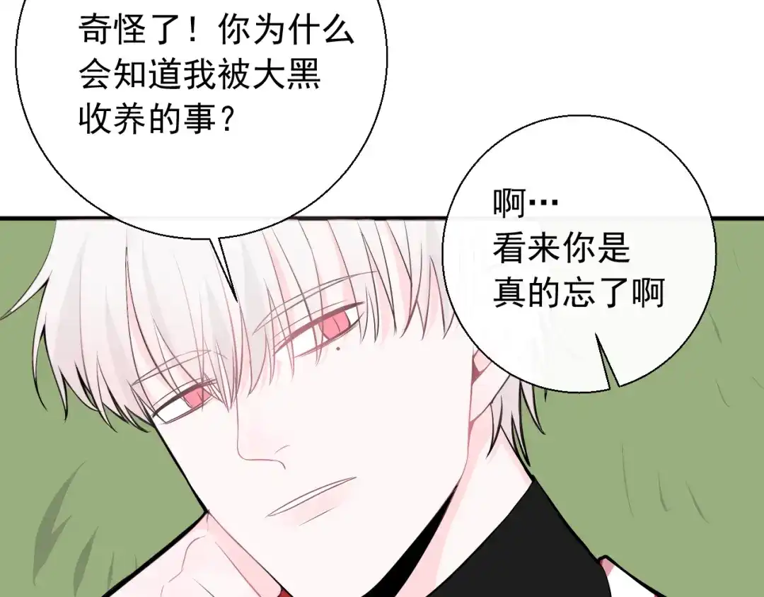 《这个保镖很傲娇》第13话 我什么都没有了 第70页
