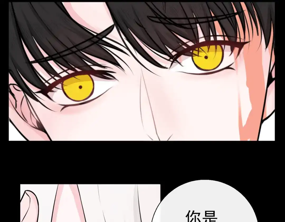 《这个保镖很傲娇》第23话 不要推开我 第67页