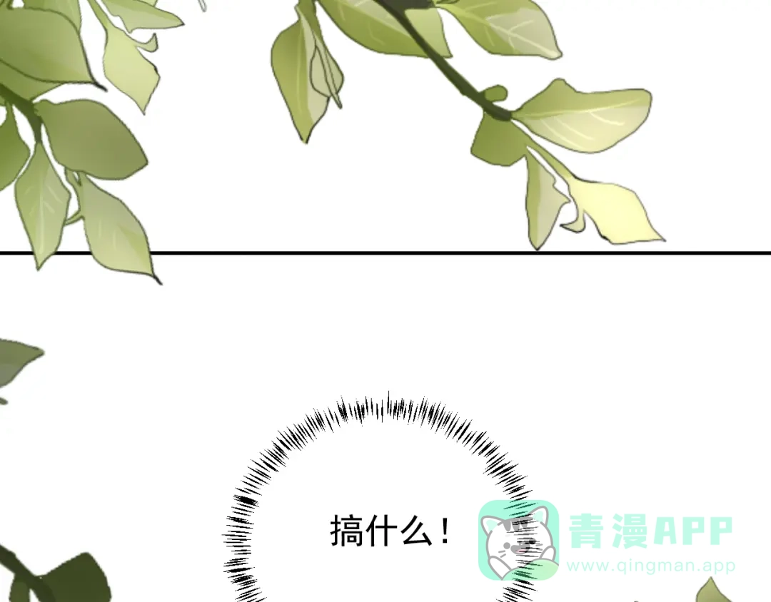 《这个保镖很傲娇》完结篇 你的笑容 第16页