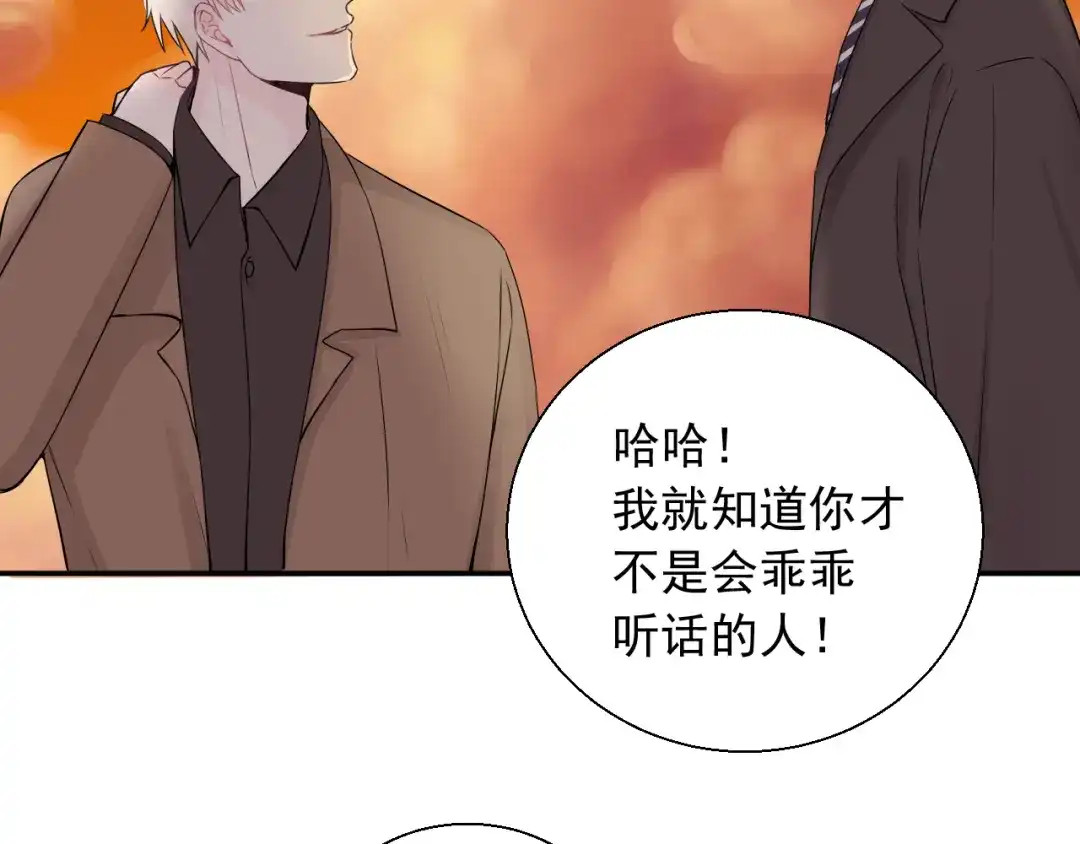 《这个保镖很傲娇》完结篇 你的笑容 第37页