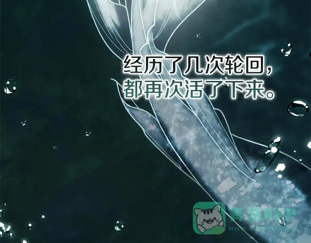《这个婚反正也要完蛋》第105话 奇怪的卡西 第91页