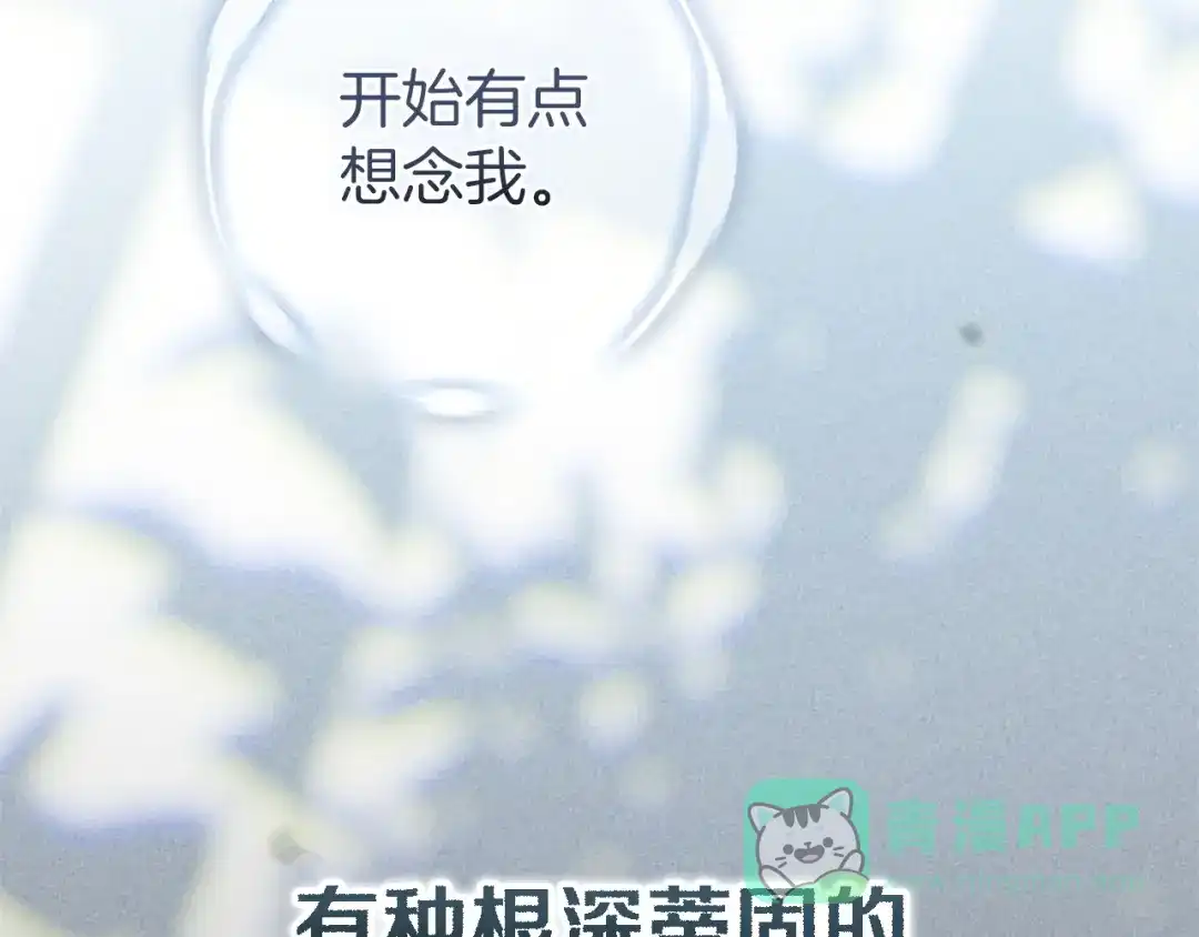 《这个婚反正也要完蛋》第106话 我心疼你 第216页