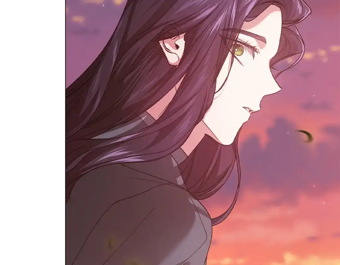《这个婚反正也要完蛋》第112话 不想再欺骗 第161页