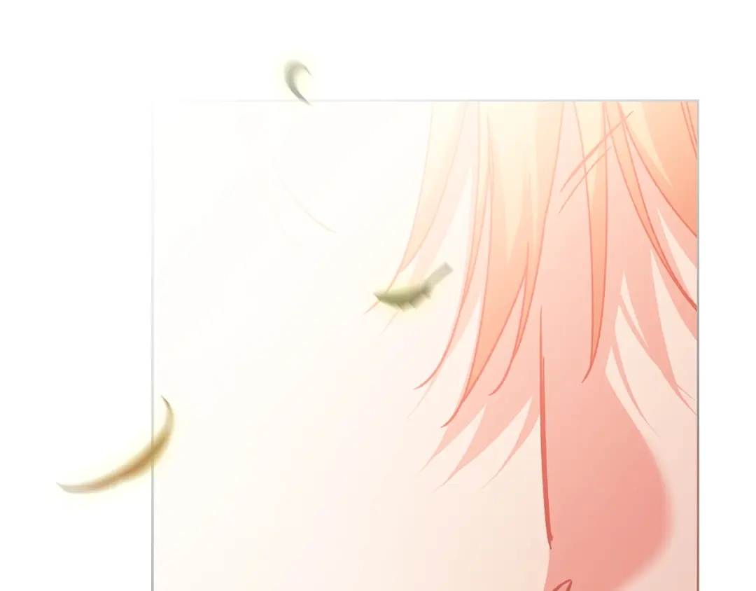 《这个婚反正也要完蛋》第113话 坦白 第207页