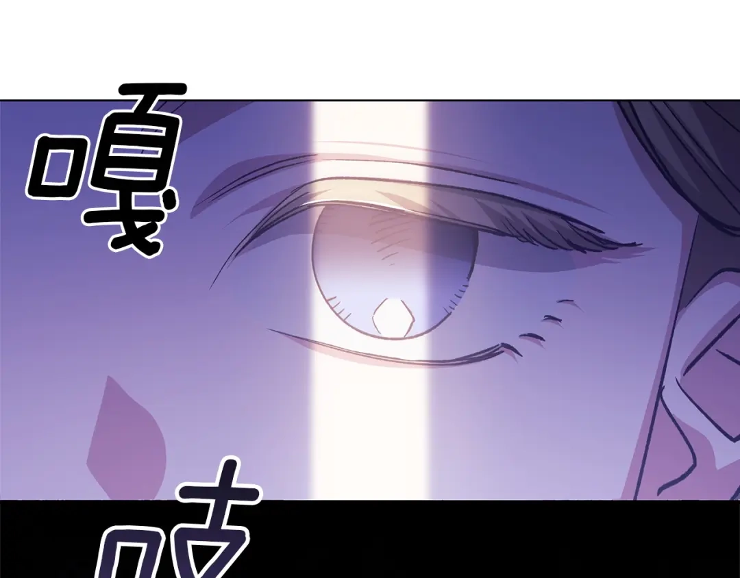 《这个婚反正也要完蛋》第114话 无法原谅 第214页