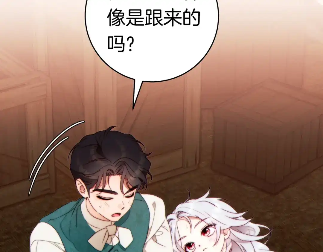 《这个婚绝对会成功》第41话 找人 第205页
