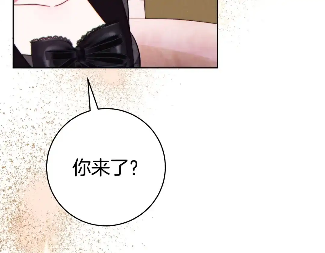 《这个婚绝对会成功》第43话 命定之人 第251页