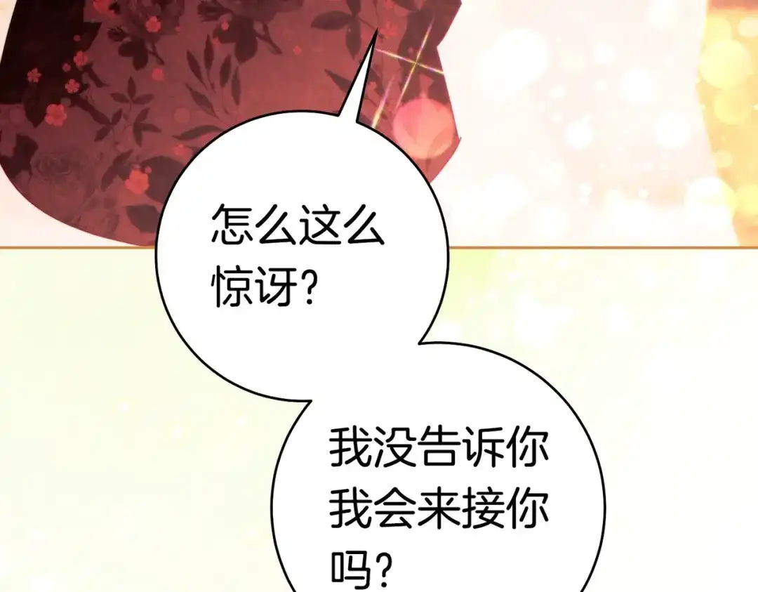 《这个婚绝对会成功》第44话 使坏 第217页