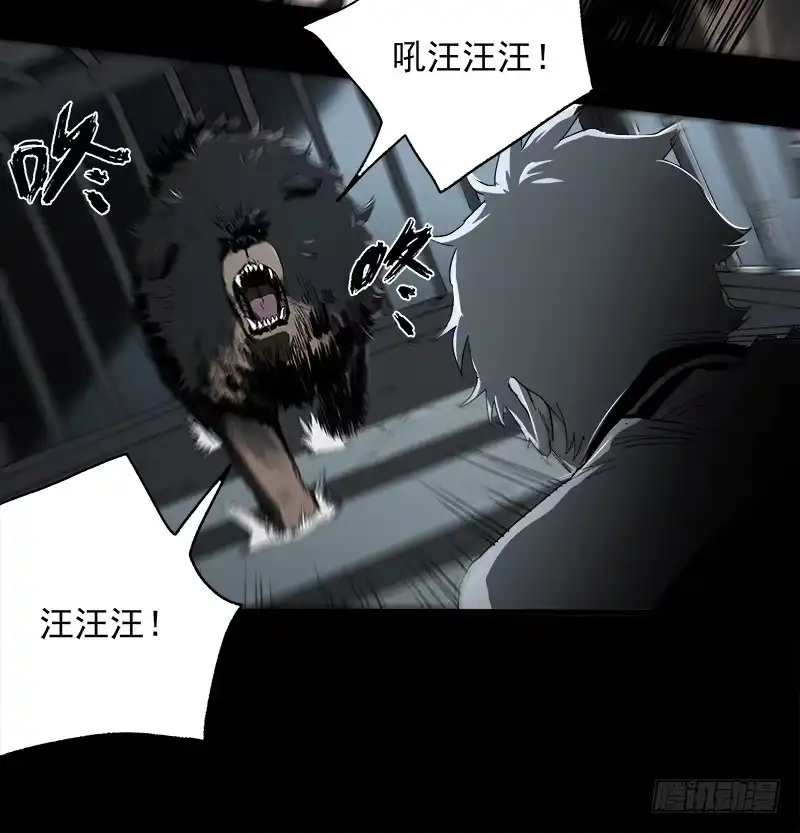 《症》10.遗传 第11页