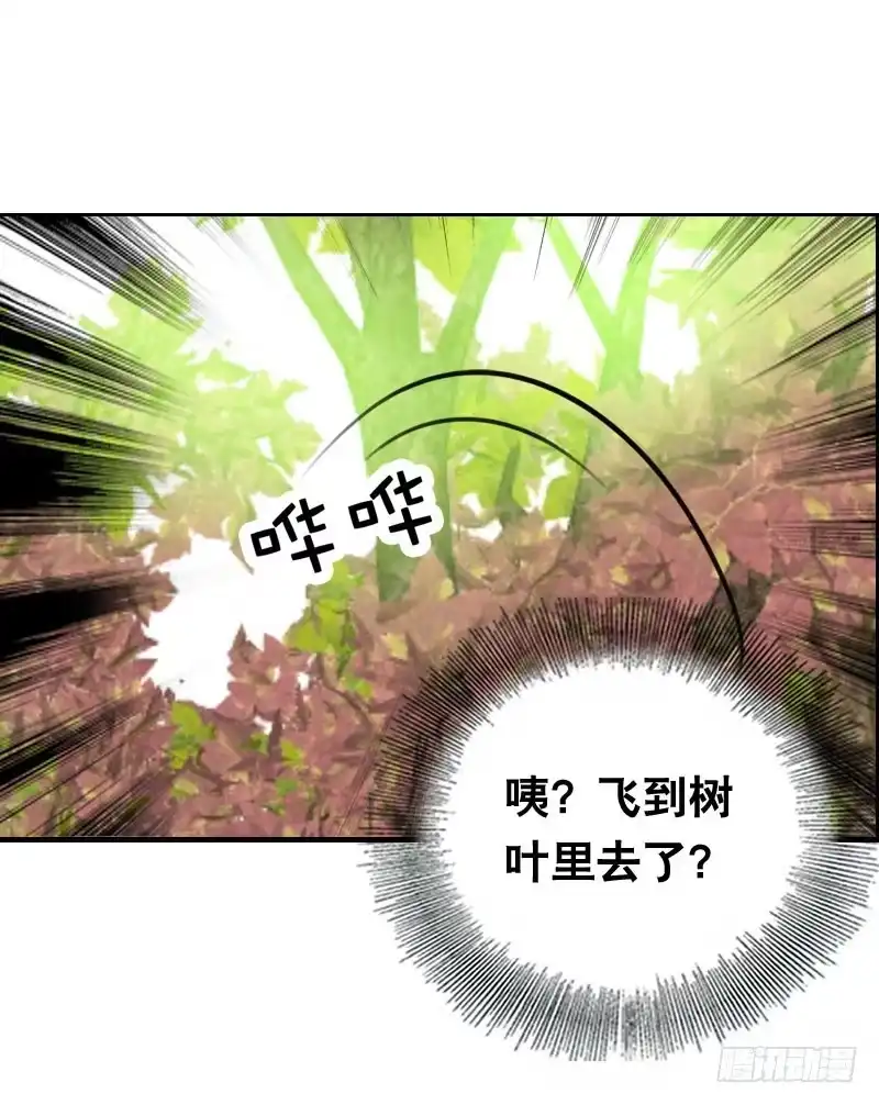 《拯救我吧腐神》012 许愿条不给力！ 第29页