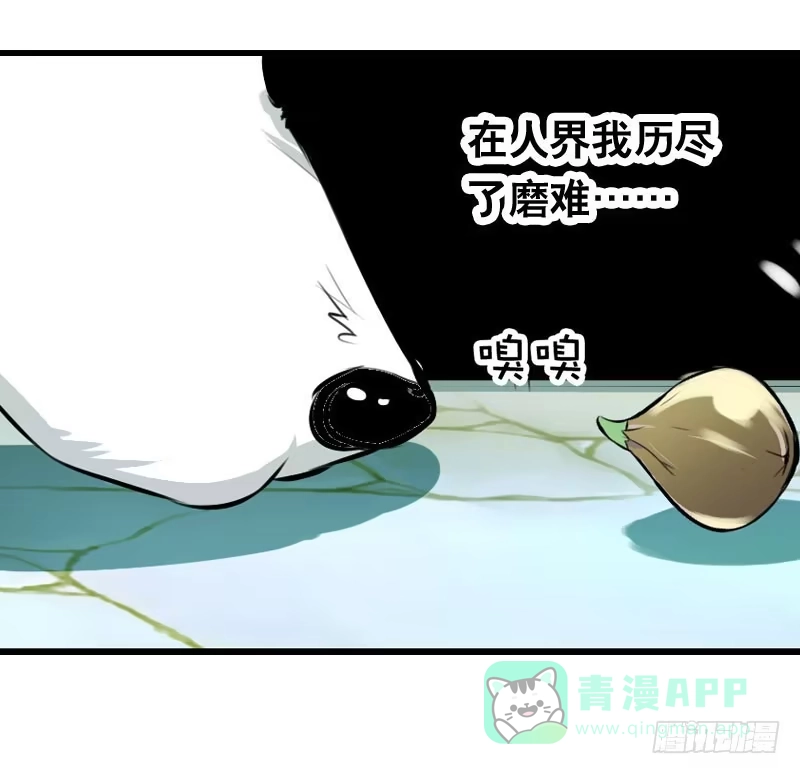 《拯救我吧腐神》018 来自仙界的种子 第26页