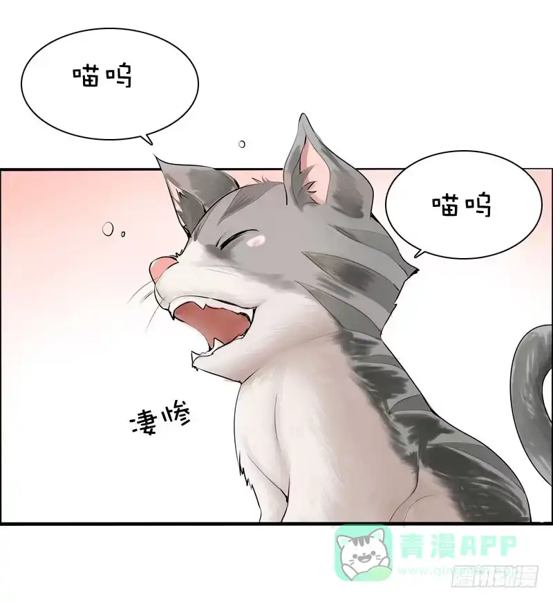 《拯救我吧腐神》034 日记中的回忆…… 第6页