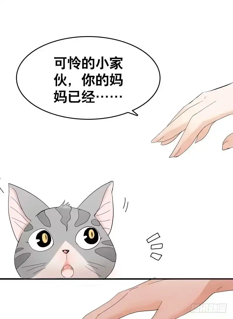《拯救我吧腐神》034 日记中的回忆…… 第37页