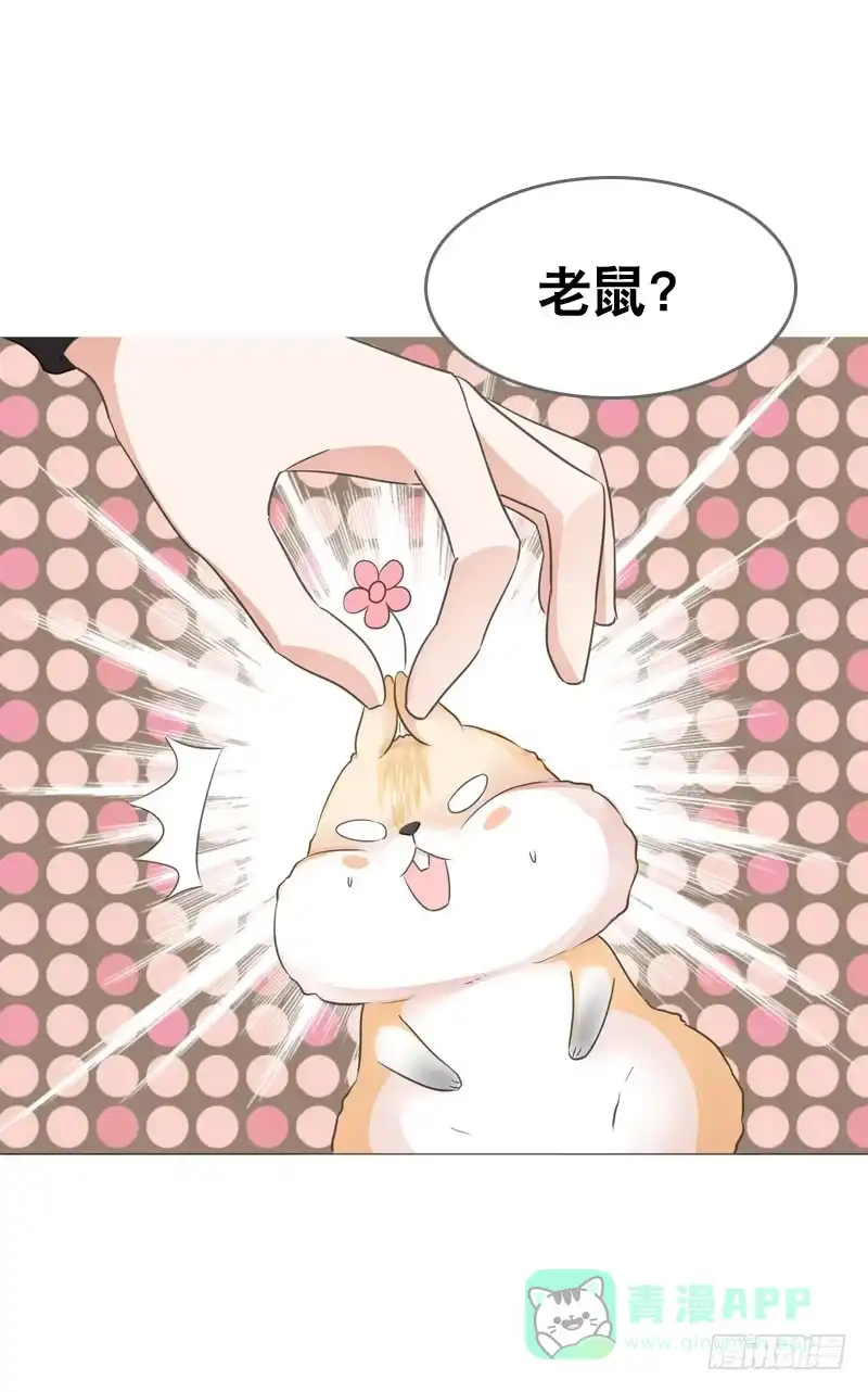 《拯救我吧腐神》067 炙手可热的远遥 第11页
