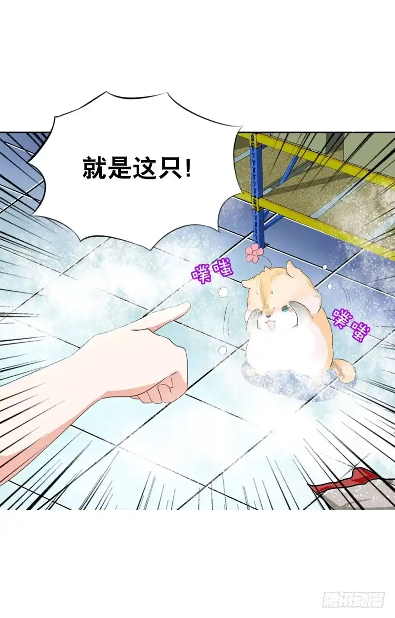 《拯救我吧腐神》067 炙手可热的远遥 第10页
