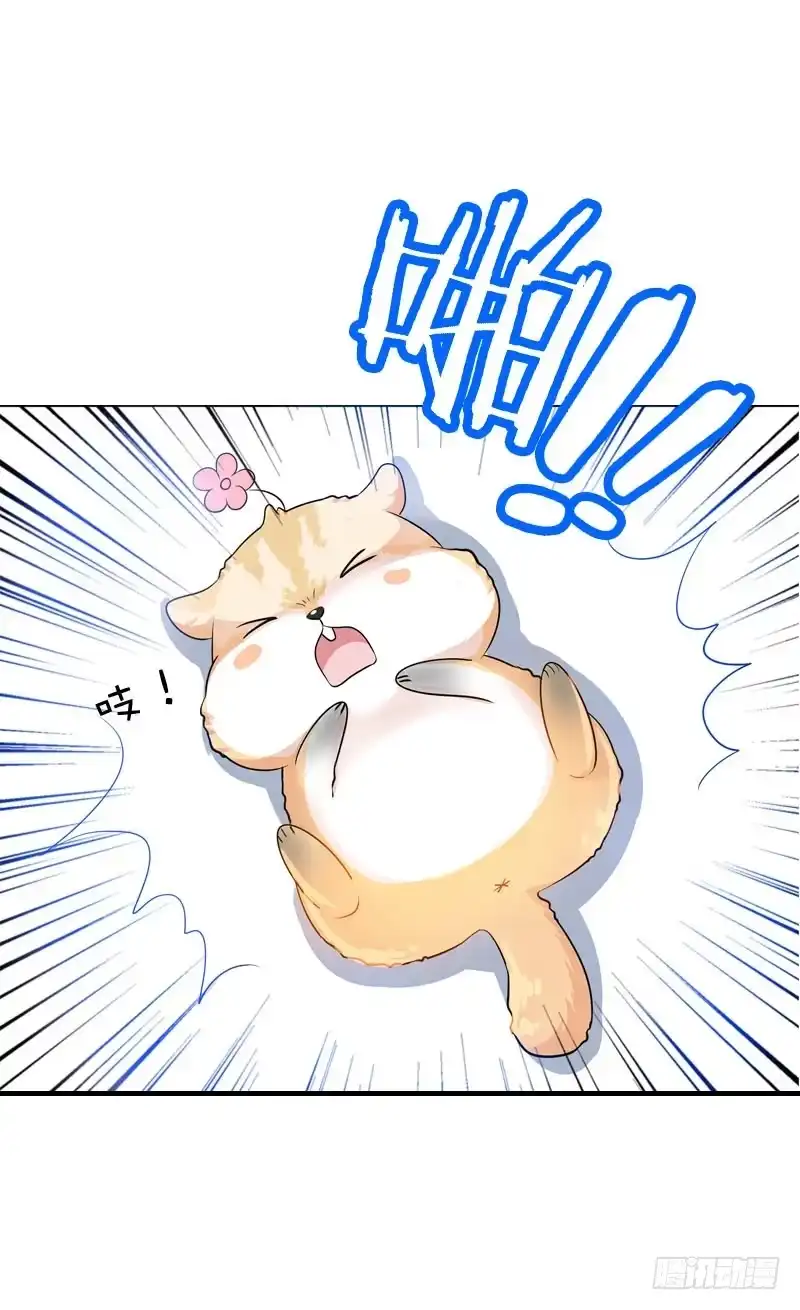 《拯救我吧腐神》067 炙手可热的远遥 第4页