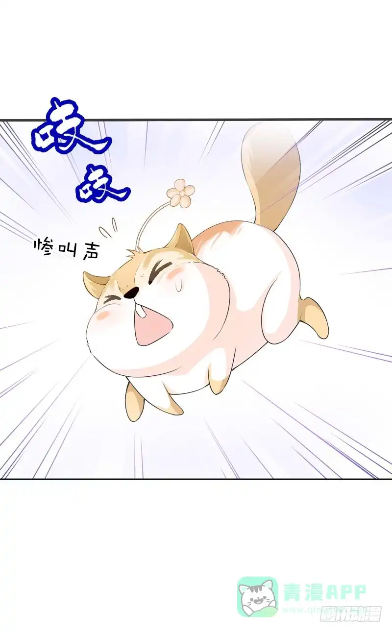 《拯救我吧腐神》081 哥哥，是我！ 第1页