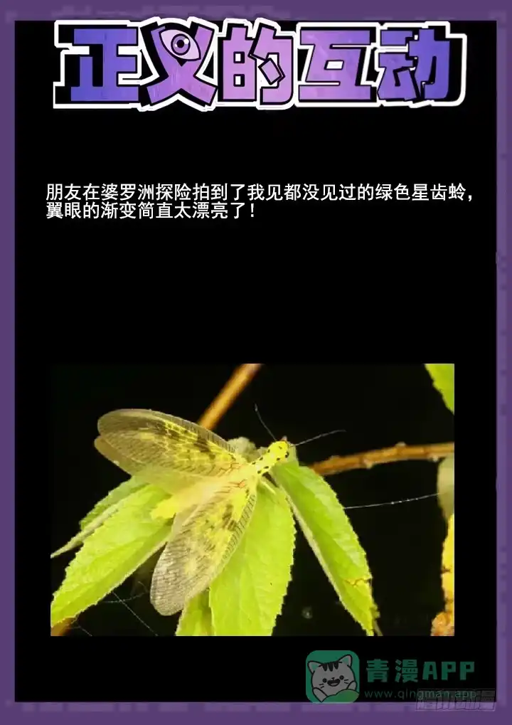 《正义的目光》102眼 绝望的复仇 第11页