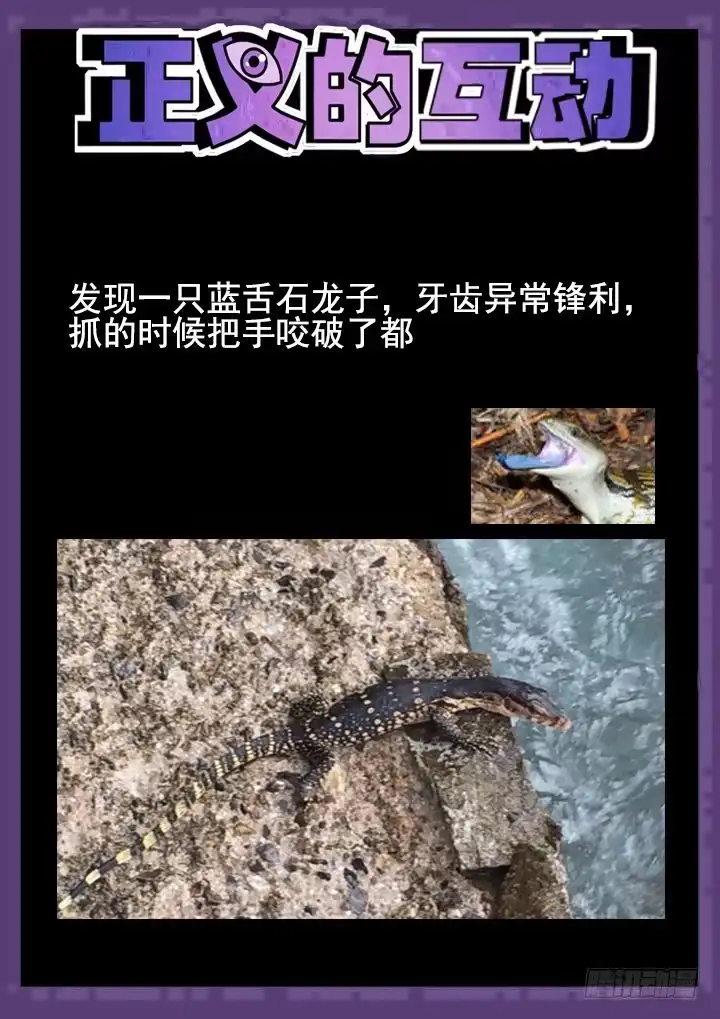 《正义的目光》115眼 搅局 第12页