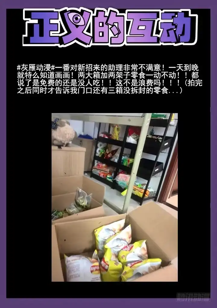 《正义的目光》16眼 一座山，两具尸 第10页