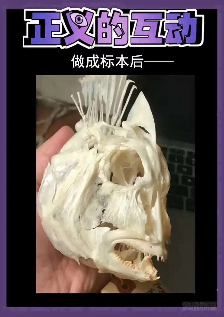 《正义的目光》154眼 又一个萧秘密 第14页