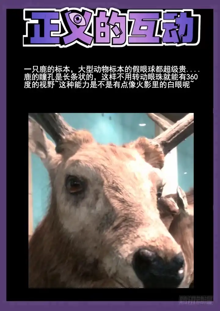 《正义的目光》33眼 两男一书，共处密室 第12页