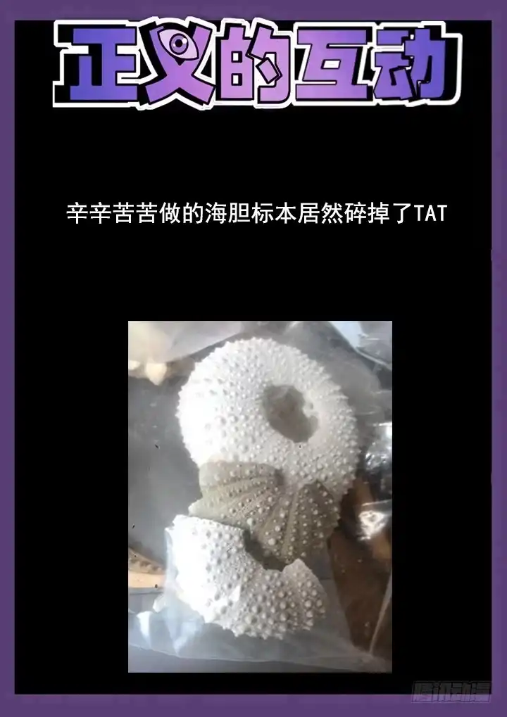 《正义的目光》39眼 入住之前 第9页