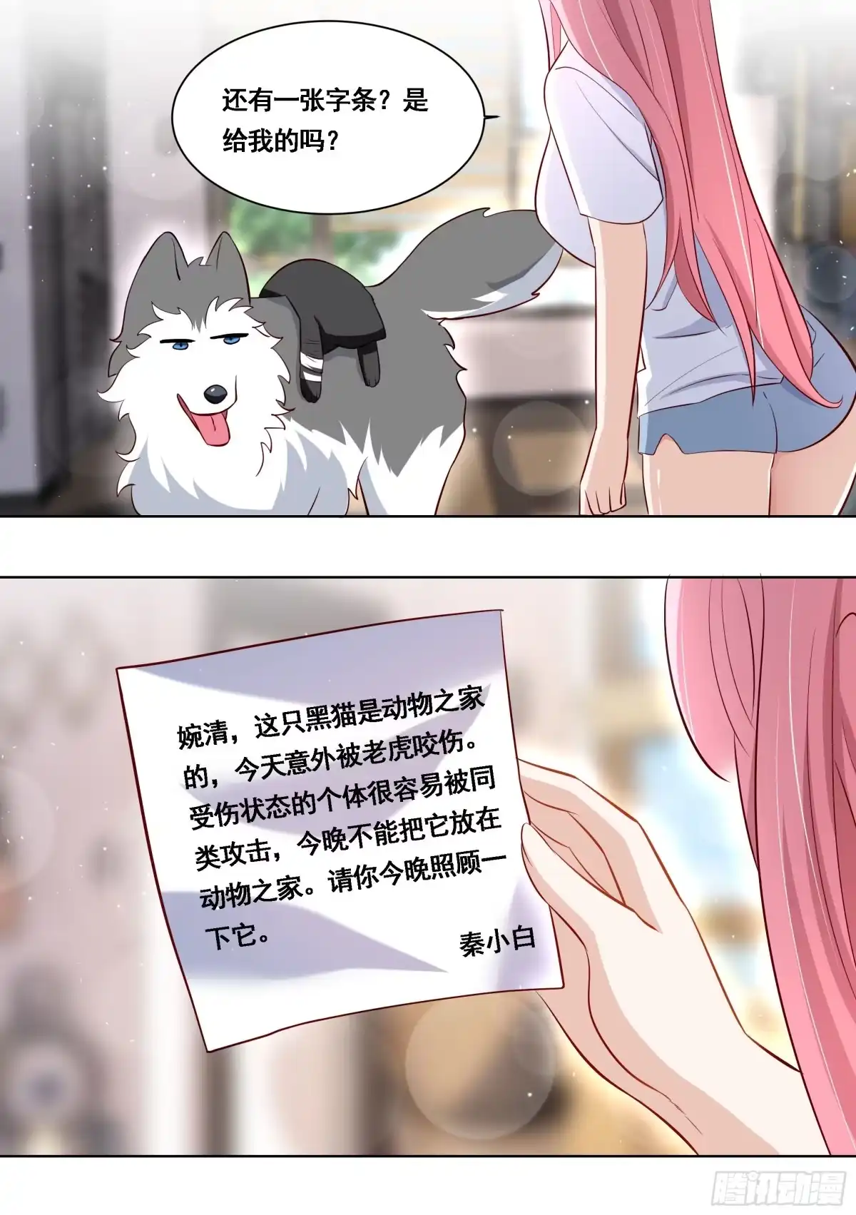 《直播：女神家的哈士奇天秀》171-拔牙艰难 第12页