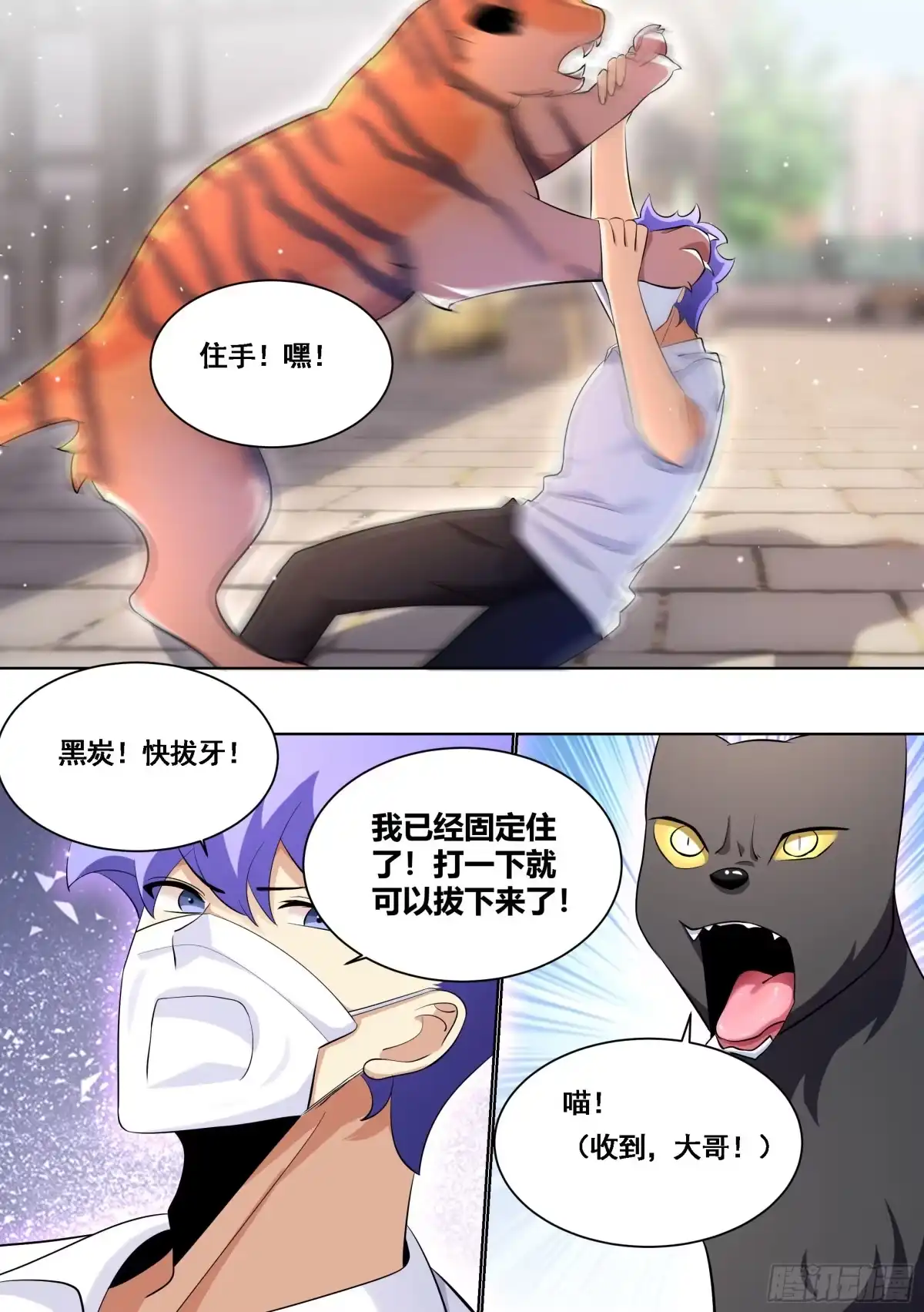 《直播：女神家的哈士奇天秀》171-拔牙艰难 第6页