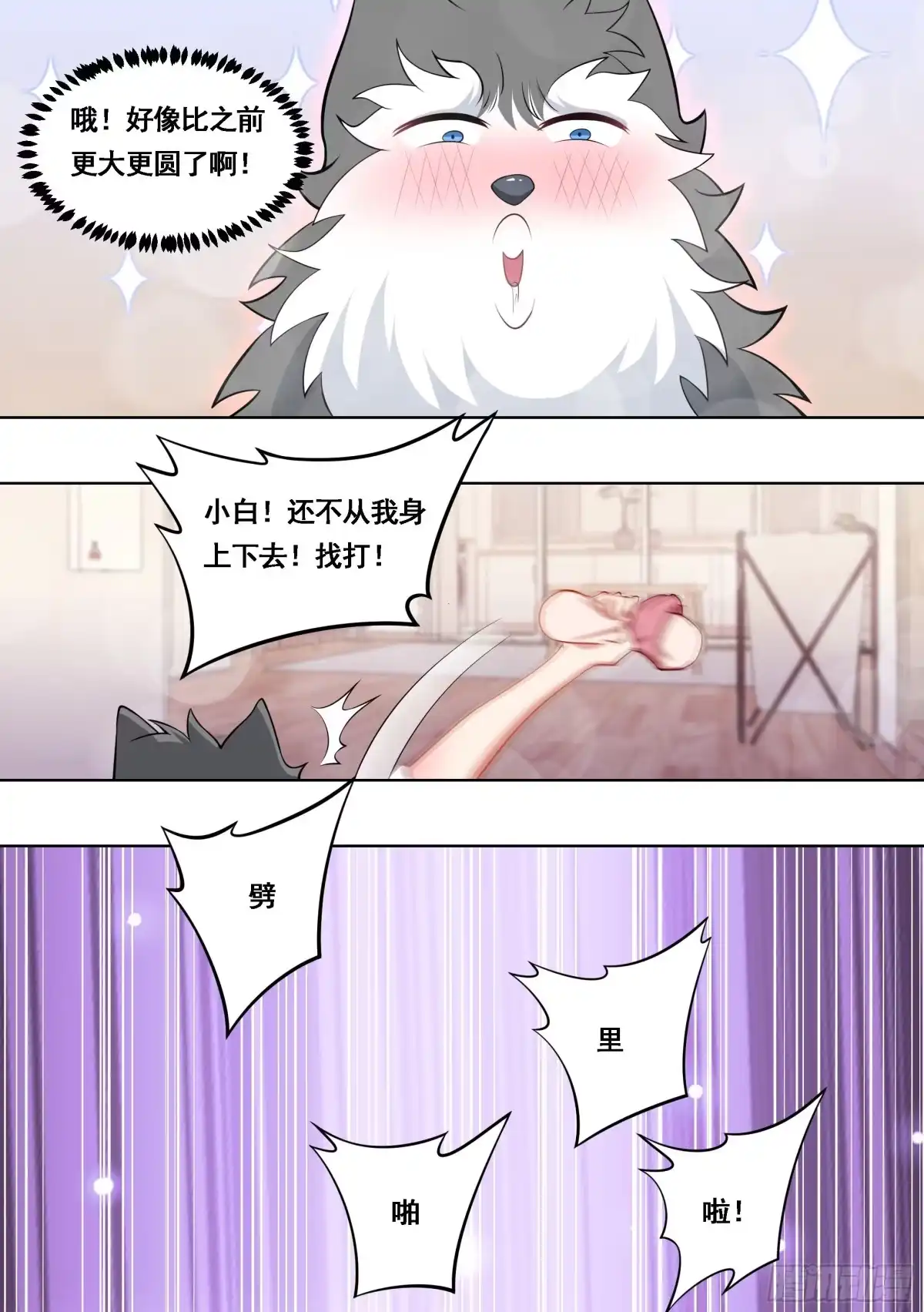《直播：女神家的哈士奇天秀》177-眼福…… 第6页