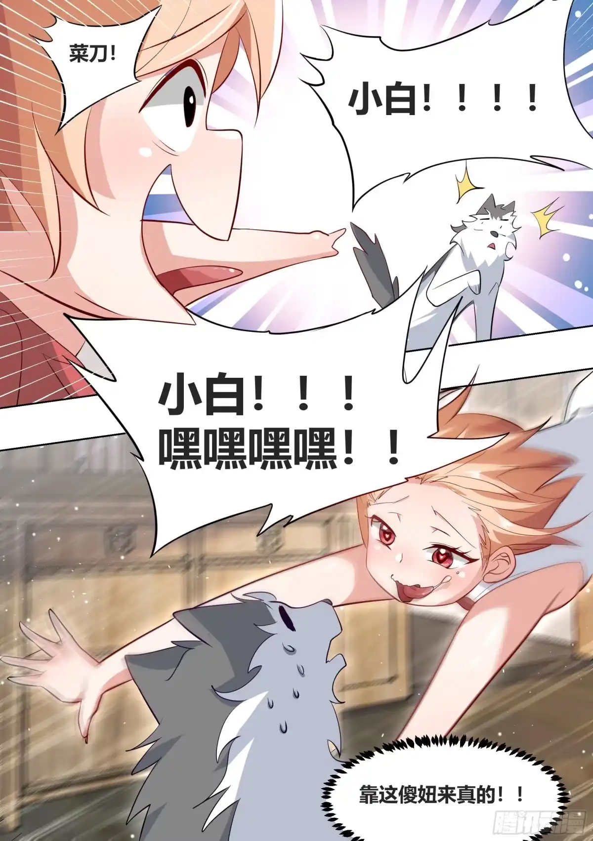 《直播：女神家的哈士奇天秀》179-对A变对E 第10页