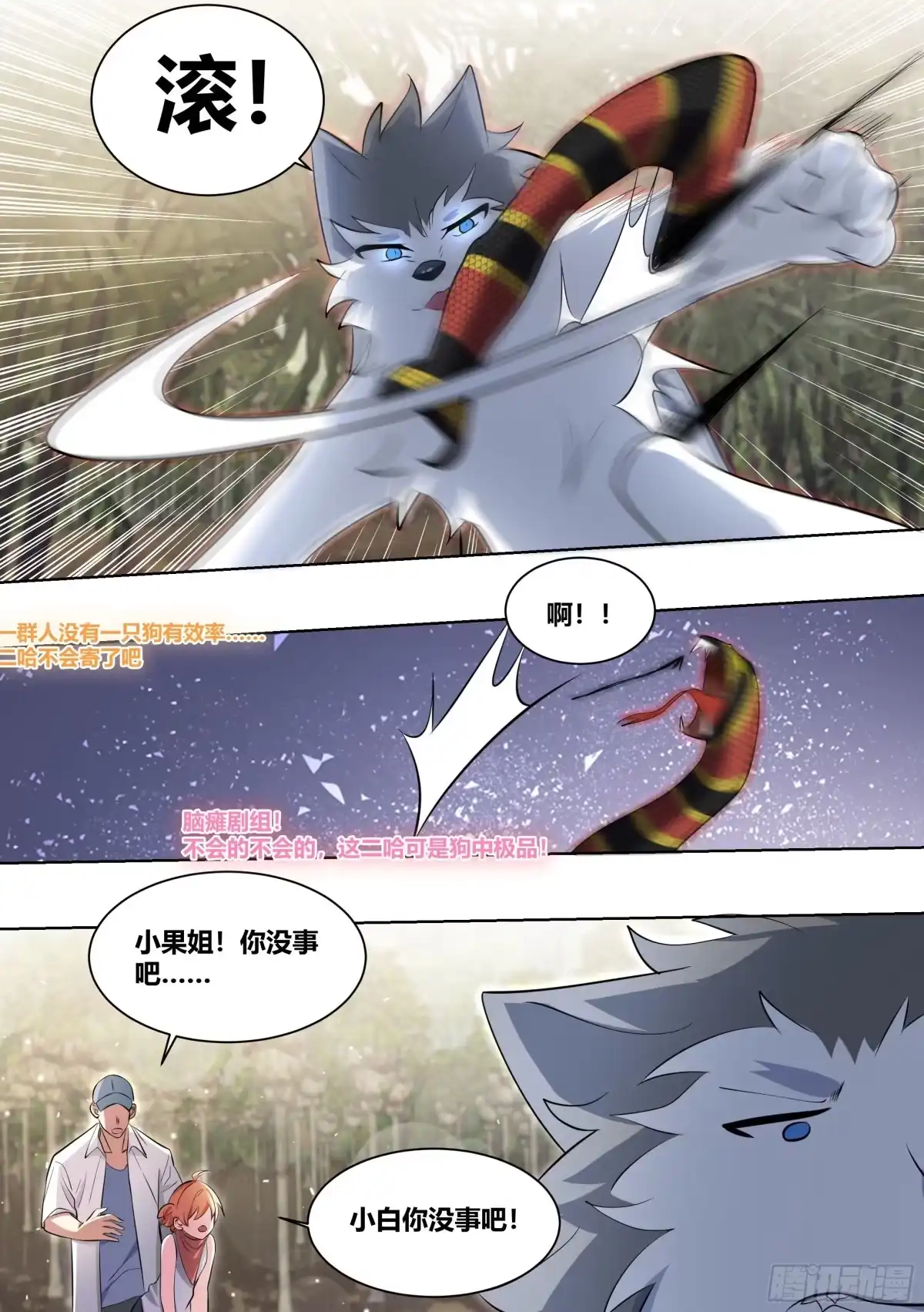 《直播：女神家的哈士奇天秀》181-全鸡宴 第2页