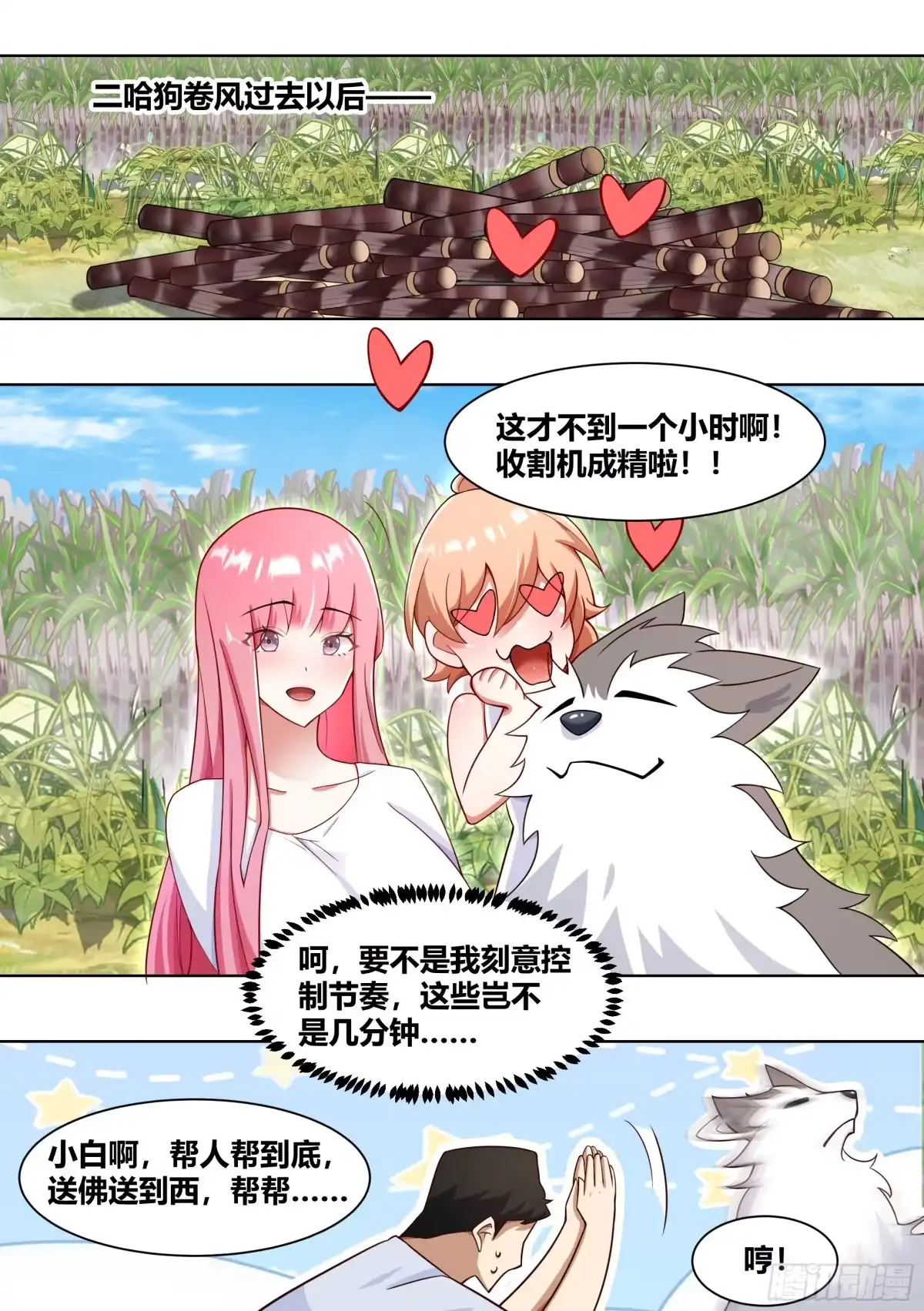 《直播：女神家的哈士奇天秀》188-无情的甘蔗收割机 第6页