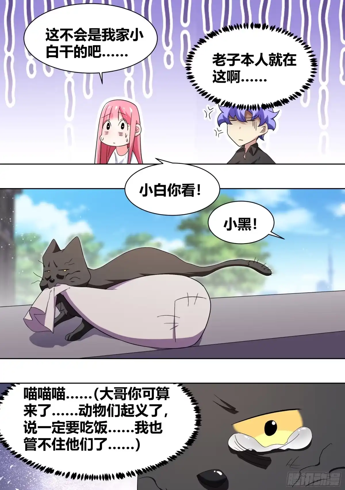 《直播：女神家的哈士奇天秀》197-清白动物之家 第13页