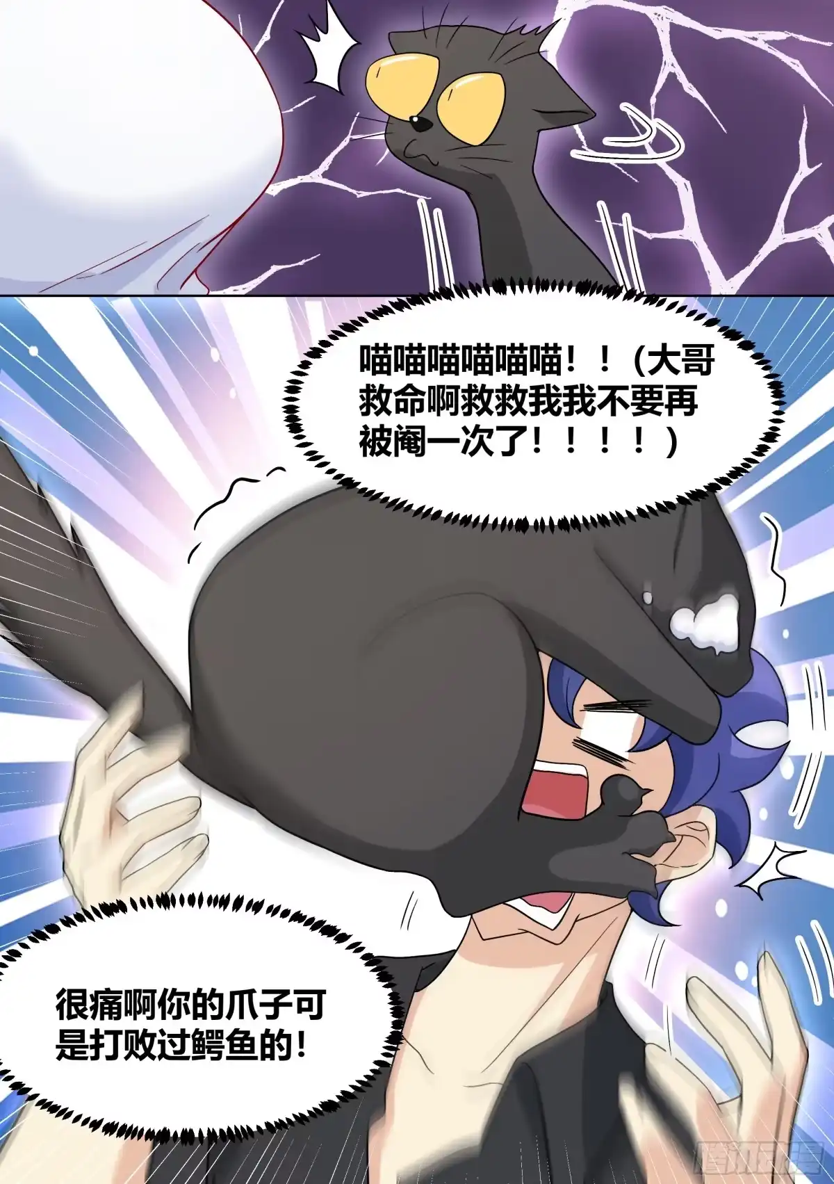 《直播：女神家的哈士奇天秀》198-我能听懂兽语 第7页