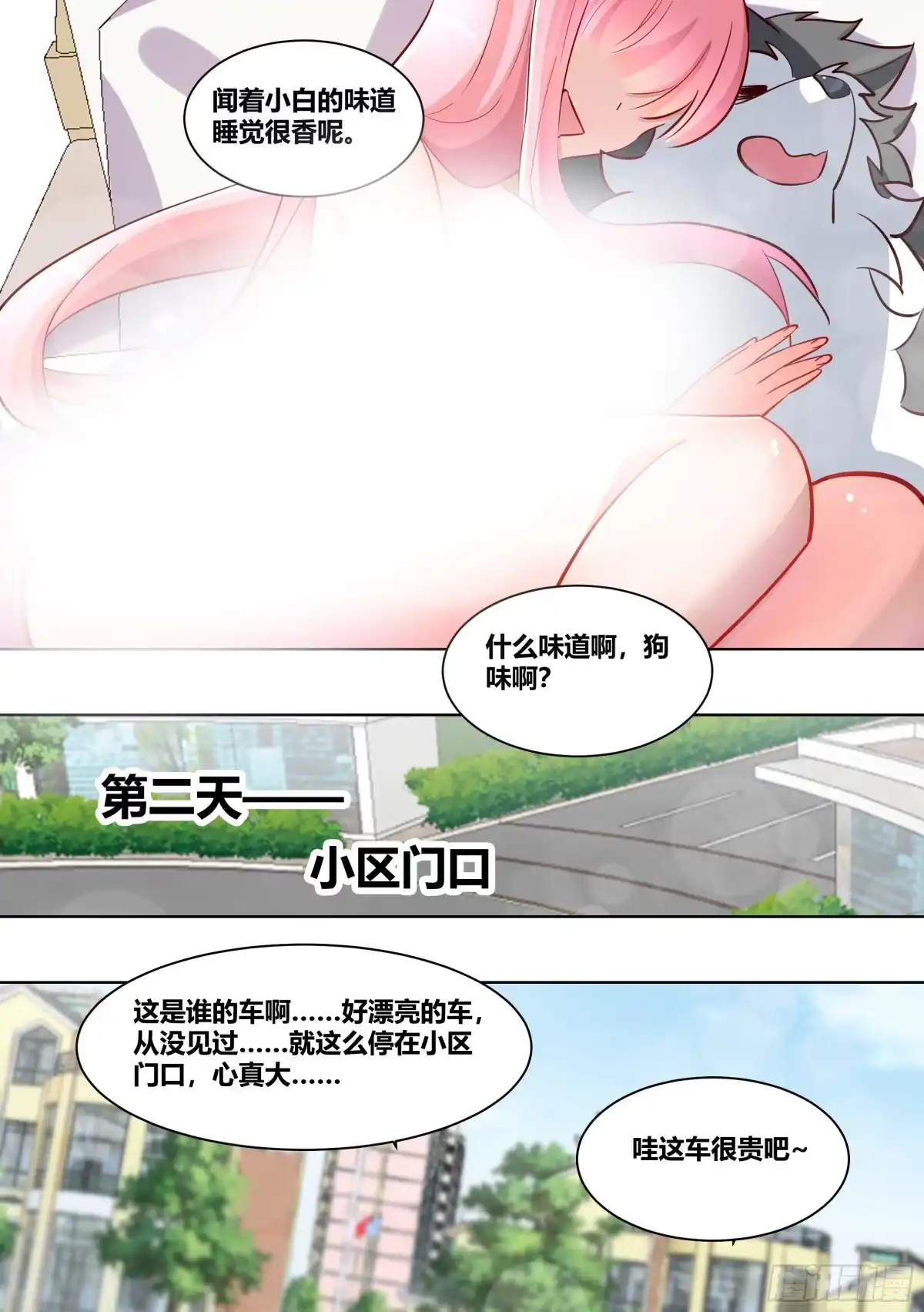 《直播：女神家的哈士奇天秀》206-这是我的车 第5页