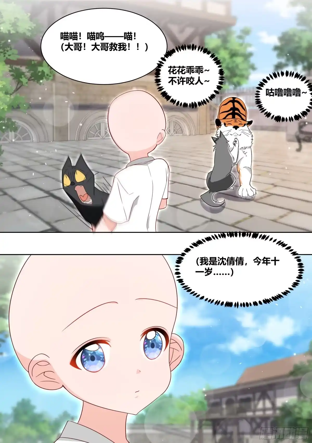 《直播：女神家的哈士奇天秀》216-发布会 第2页