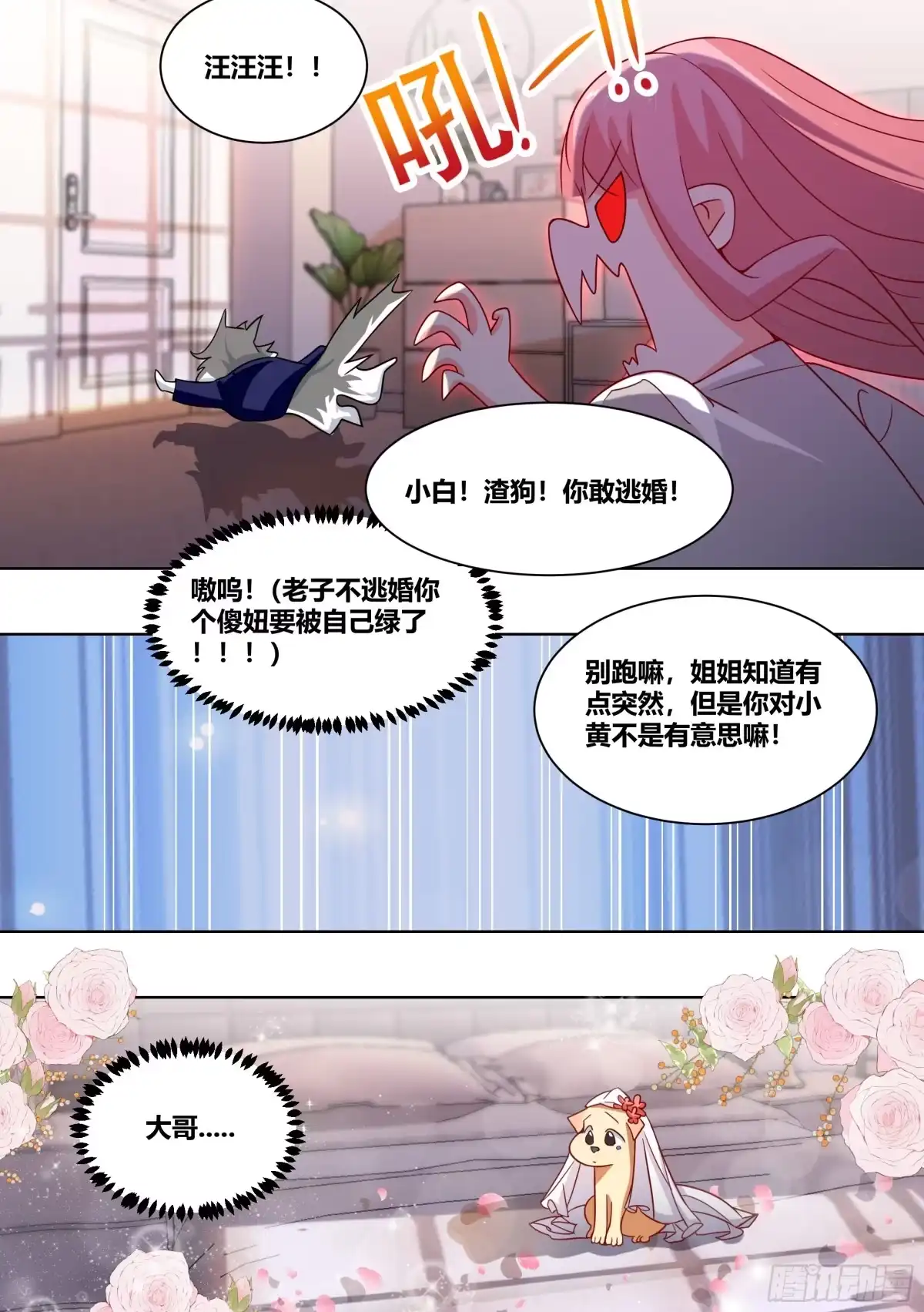 《直播：女神家的哈士奇天秀》219-逃婚 第12页
