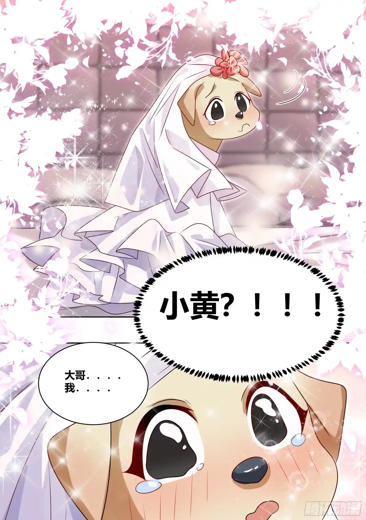 《直播：女神家的哈士奇天秀》219-逃婚 第9页