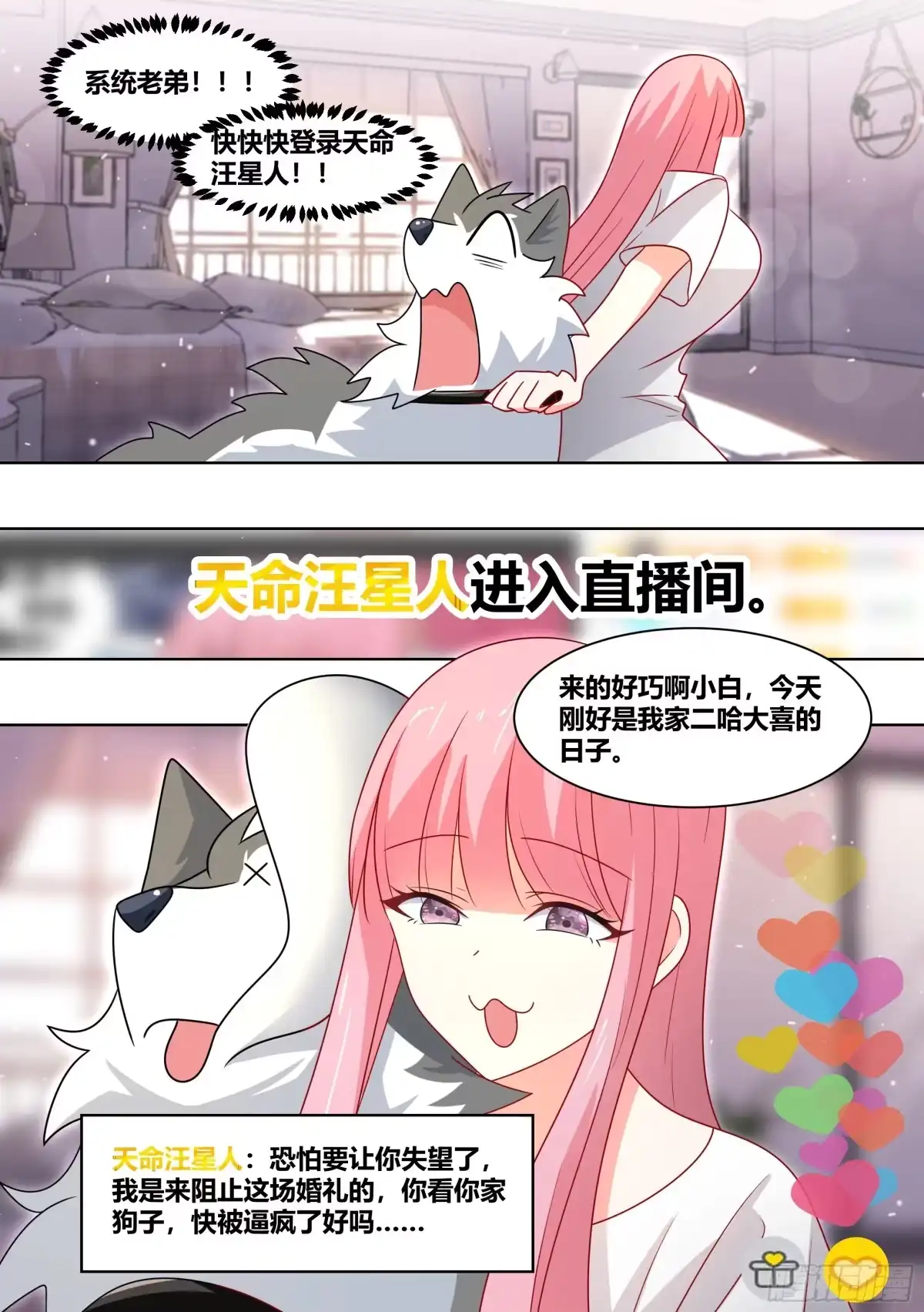 《直播：女神家的哈士奇天秀》219-逃婚 第13页