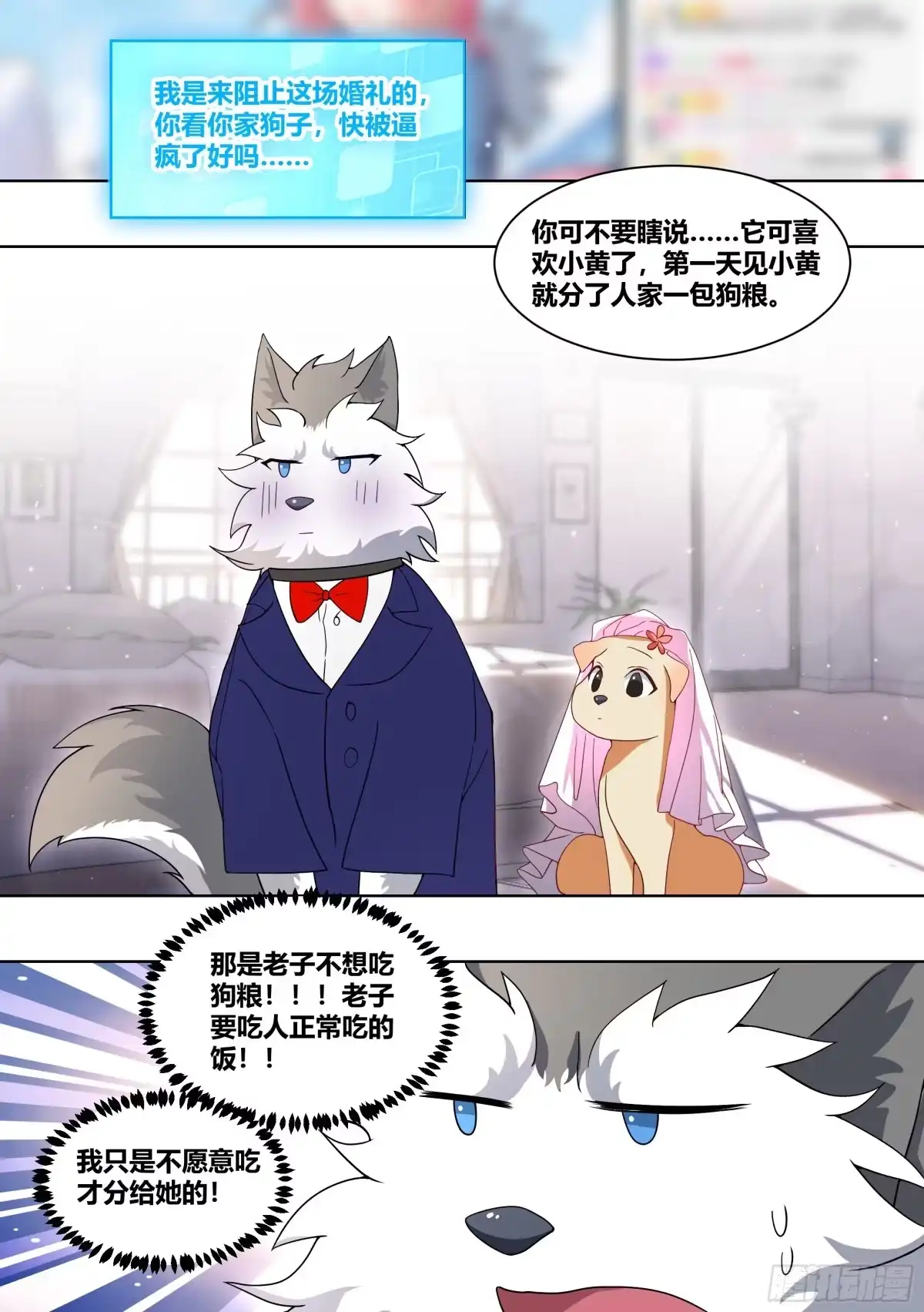 《直播：女神家的哈士奇天秀》220-败家指令 第2页