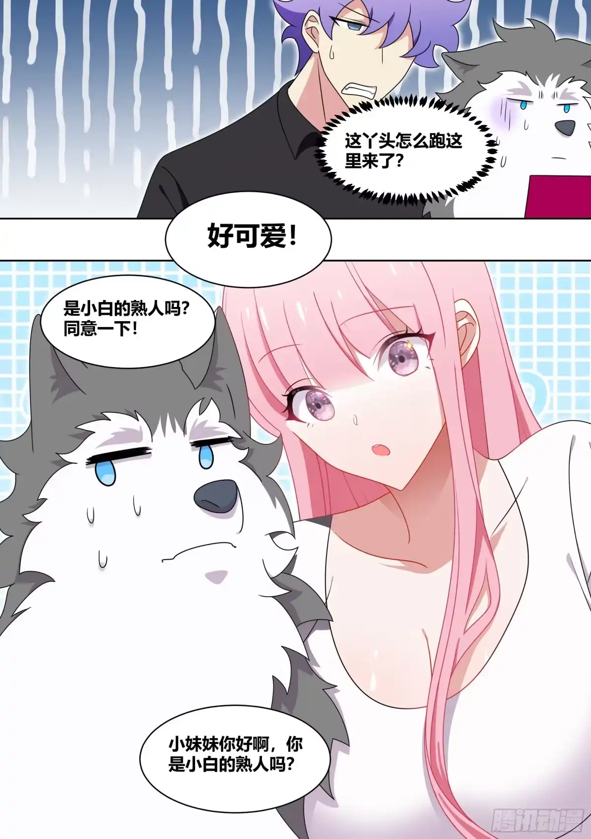 《直播：女神家的哈士奇天秀》227-母后？？ 第11页