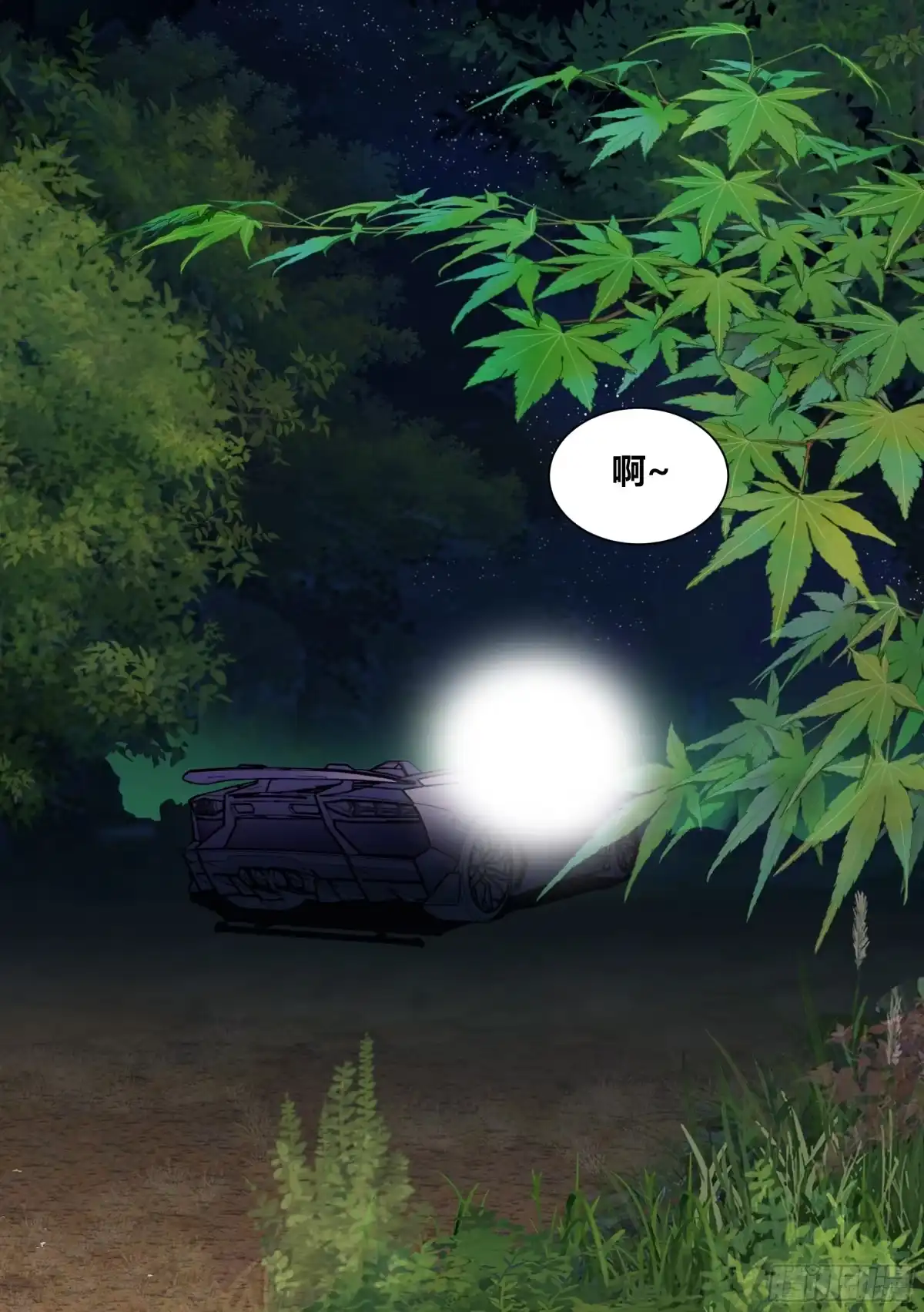 《直播：女神家的哈士奇天秀》251-枫林晚 第12页