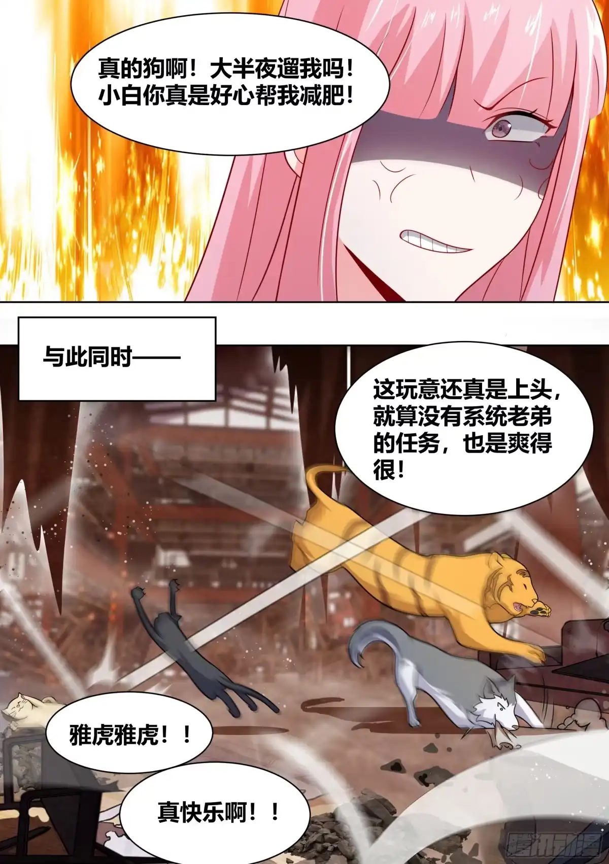 《直播：女神家的哈士奇天秀》259-拆家是动物的本质 第11页