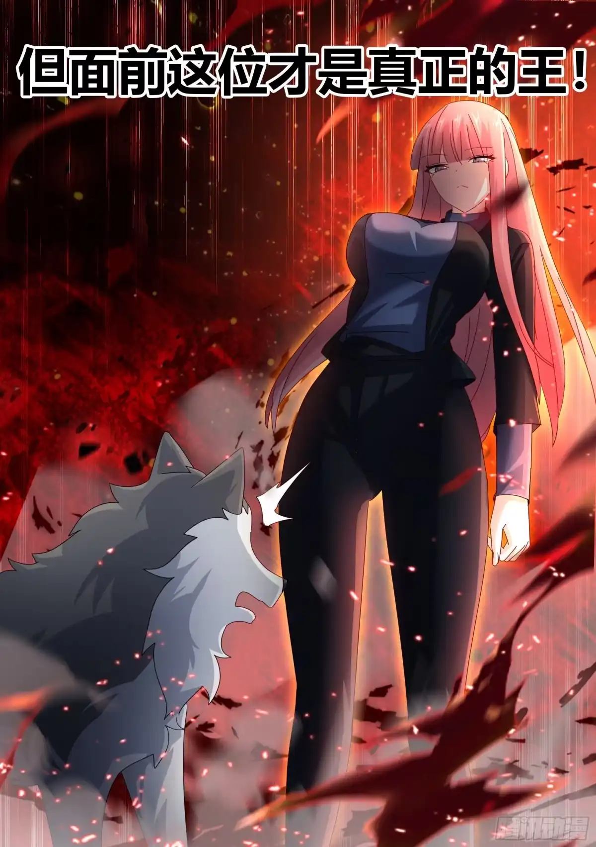 《直播：女神家的哈士奇天秀》260-真正的王 第11页