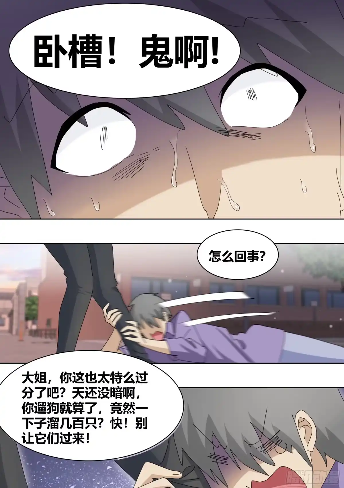 《直播：女神家的哈士奇天秀》262-遛一百只狗？ 第8页