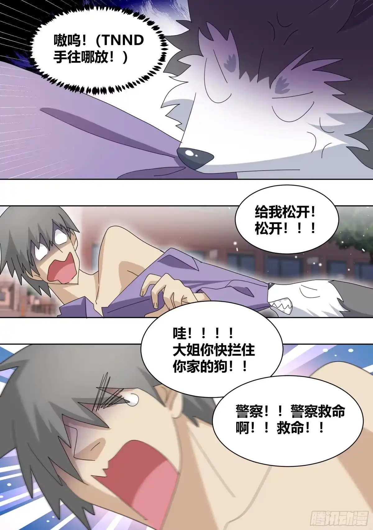 《直播：女神家的哈士奇天秀》262-遛一百只狗？ 第9页