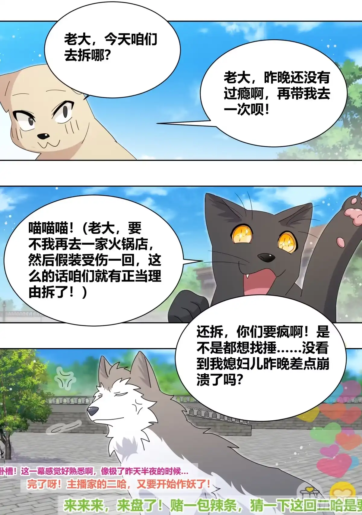 《直播：女神家的哈士奇天秀》264-三只平头哥 第11页