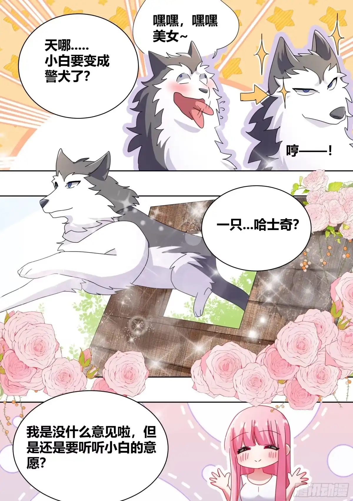《直播：女神家的哈士奇天秀》264-三只平头哥 第5页