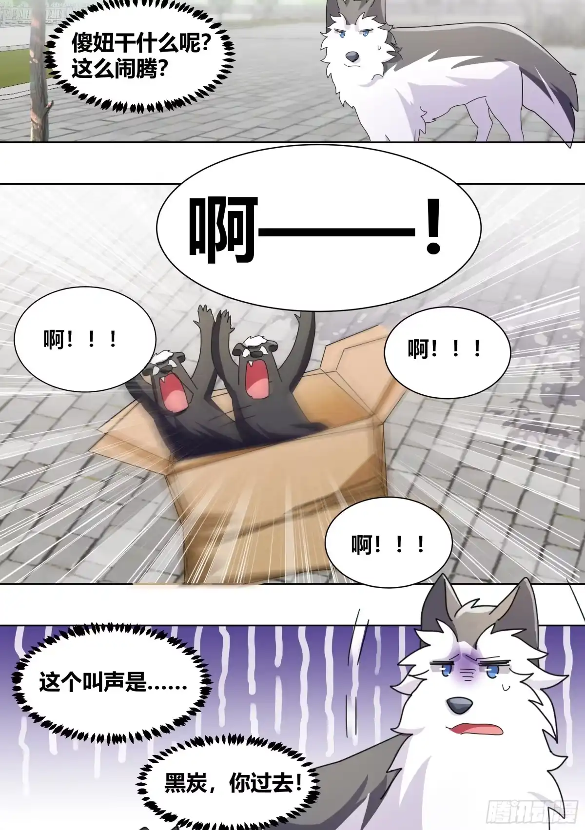 《直播：女神家的哈士奇天秀》265-新人培训 第3页